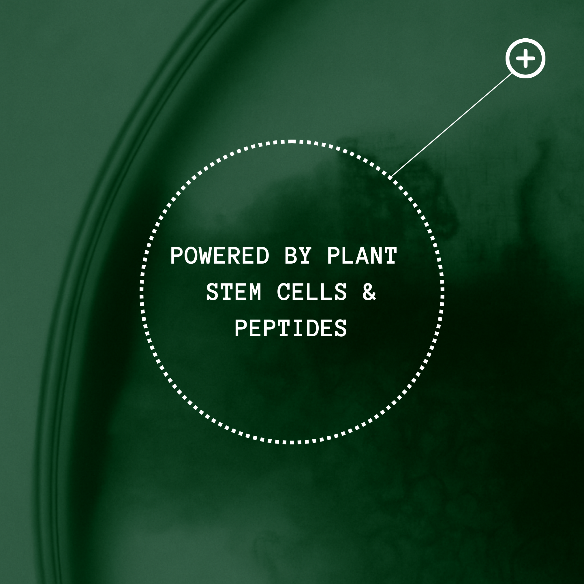 Thickening Hair Growth Combo