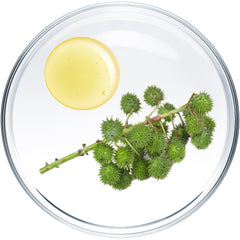 Rosemary Oil