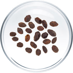Saw Palmetto
