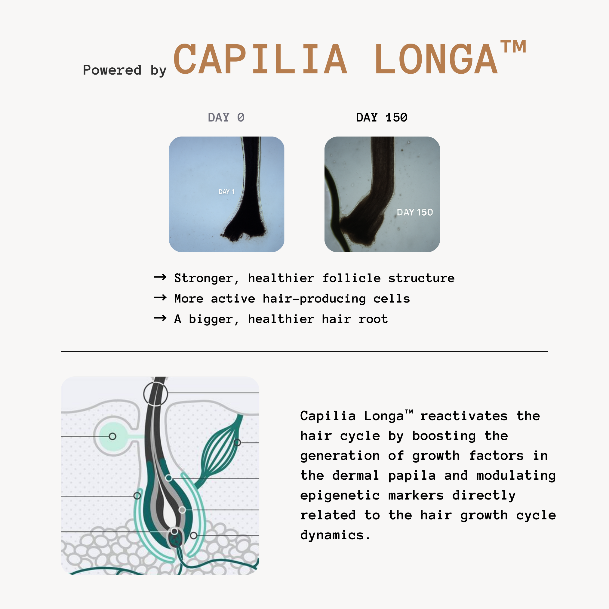 Follicle Activating Hair Growth System