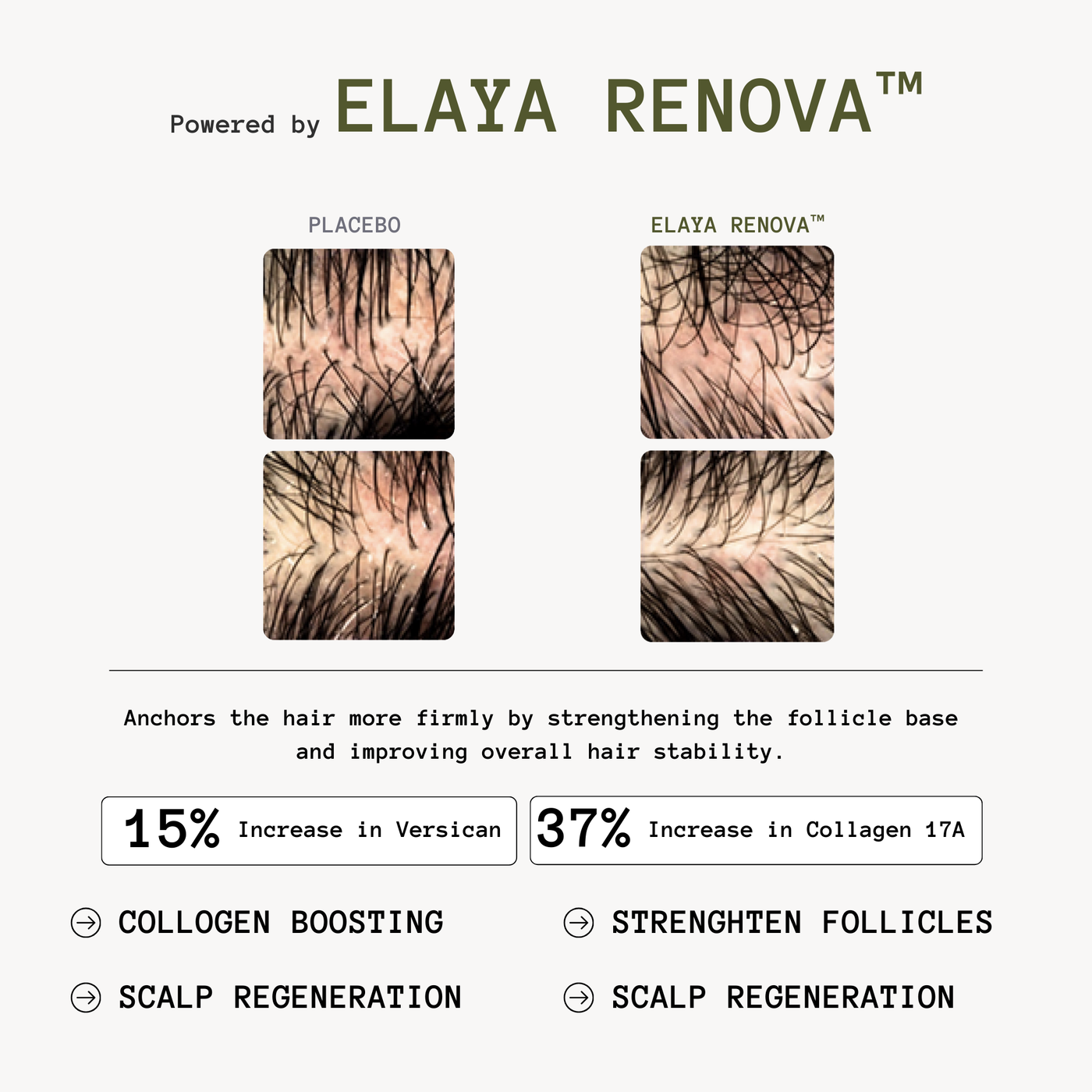Revive+ Advanced Conditioner