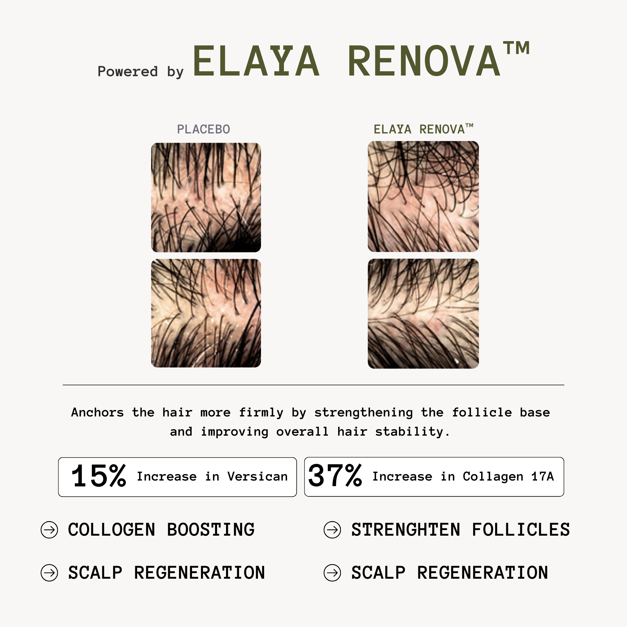 Thickening Hair Growth Combo