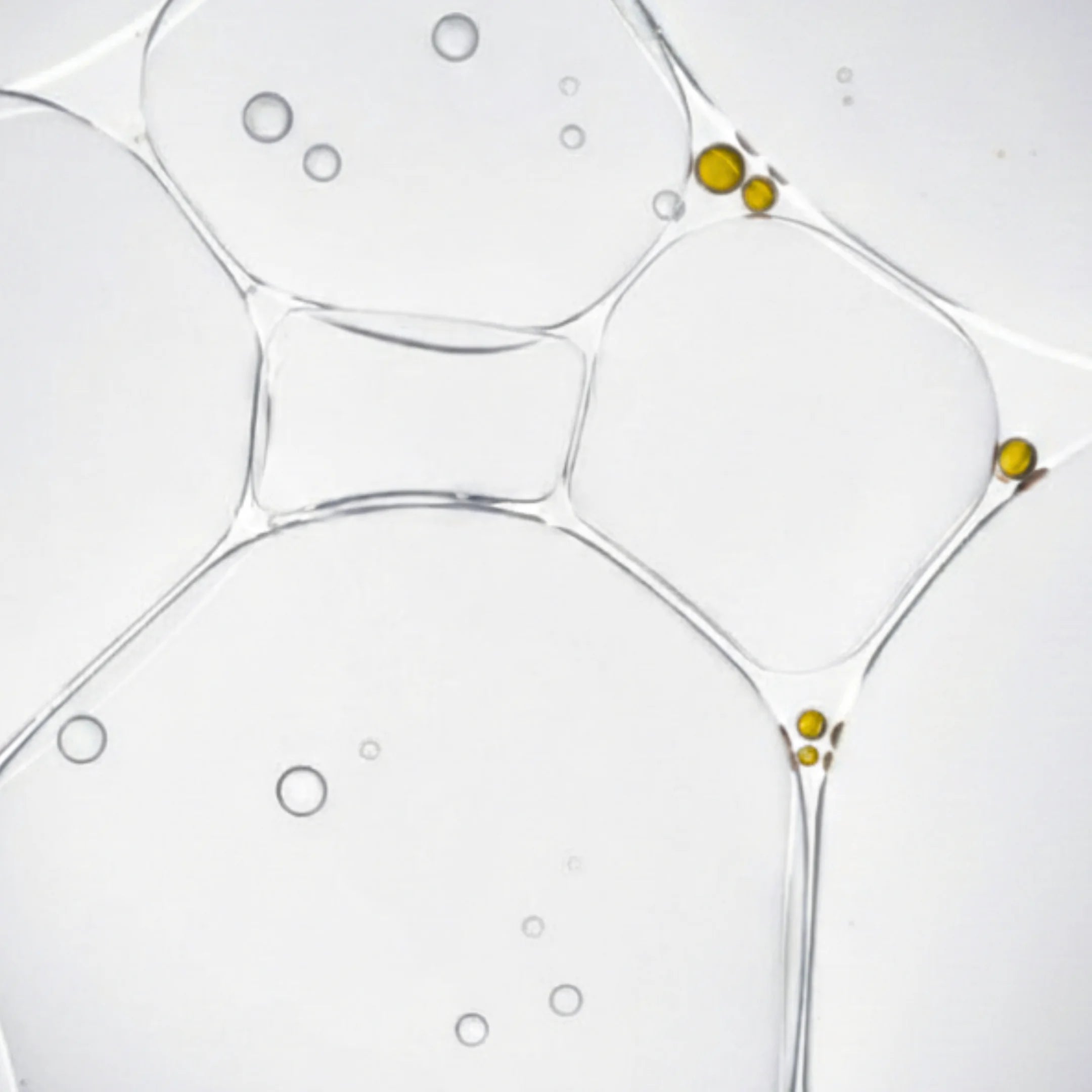 Scientific Innovation