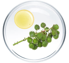 Rosemary Oil
